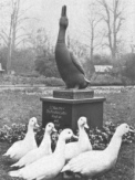 Freiburg
im Breisgau, Erpeldenkmal: Ein Erpel soll
vor dem Grossangriff vom 16. November 1944
gewarnt haben Freiburg im Breisgau, Erpeldenkmal: Ein
Erpel soll vor dem Grossangriff vom 16.
November 1944 gewarnt haben