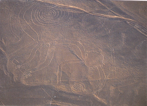 Nasca-Linien, das Linienbild des
              Affen