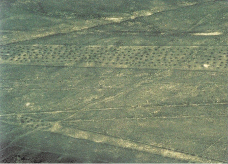 Region
                      Palpa, Lochpiste 01