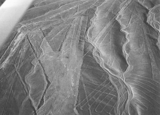 Pisten in der Region Palpa, eine
              Pistengabelung in Form eine Y