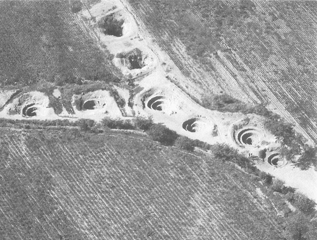 Reihen mit Wasserl�chern
                          (Puquios) in der Region von Nasca, hier
                          gabelf�rmig
