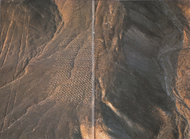 Region Palpa,
              die Linienfigur des "Schachbretts" 02