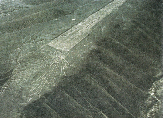 Region Palpa, gek�pfter Berg mit
              einer Piste auf einer Blume 01