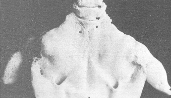 El esqueleto de un
                                      extraterrestre de California,
                                      expuesto en el museo antropol�gico
                                      de M�xico 01