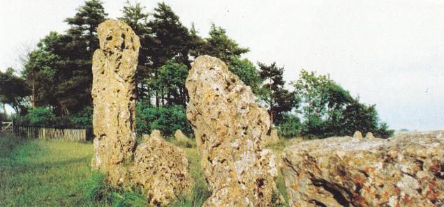 Círculo de piedras de Rollright, piedras Círculo de piedras de Rollright,
              piedras