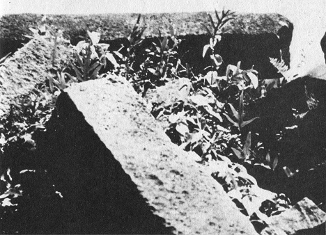 Temuen / Nan Magol,
elemento de muro Temuen / Nan Magol, elemento de
muro