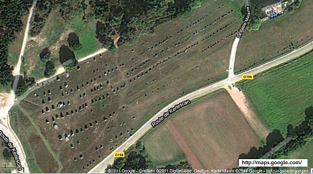 Hileras de menhires de
Kermario, foto satelital Hileras de menhires de Kermario, foto
satelital