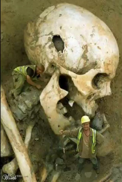 Cráneo de un gigante Cráneo de un
gigante