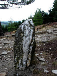 Un menhir en
cuarzo en la región de Florac (en Francia del
sur en las montañas Cevennes) Un menhir en cuarzo
en la región de Florac (en Francia del sur en
las montañas Cevennes)