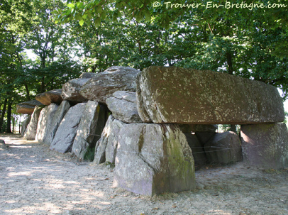 Dolmen
grande como corredor en Roche-aux-fées en
Bretaña Dolmen grande como corredor en
Roche-aux-fées en Bretaña