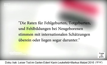 Die kriminelle
                                    IL-UNO-NWO behauptet, die Rate an
                                    Fehlbildungen bei Babys im Irak sei
                                    seit 1991 gleich geblieben oder lge
                                    sogar darunter