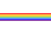 Flag
                          of Birobidzhan province