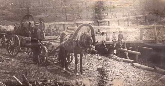 Field work
                  in Birobidzhan in 1931