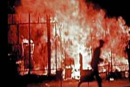 Massenmord durch Briten und
                                "Amerikaner" durch Feuersturm
                                in Hamburg 1943