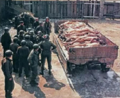 Rhine meadow camp with German bodies piled on
                  a trailer with "American" soldiers next to
                  it. So these are NO Jews.