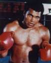 Ali beim Boxen / Ali
                  boxeando / Ali boxing