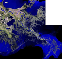 New Orleans and the
                                  Mississippi-"Delta" on a
                                  satellite photo in 2005: The delta has
                                  got big holes...