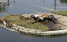 New Orleans: After the first decline of the floods
              dead bodies rest: Dead body without pall