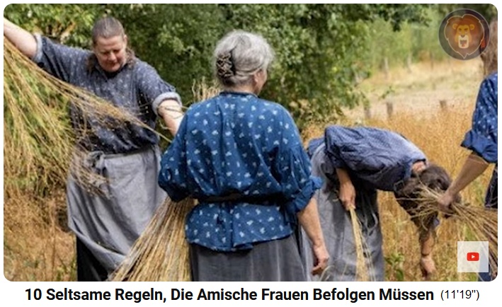 Amish leben ohne Strom: Handarbeit bei
                          der Ernte Amish leben ohne Strom:
                          Handarbeit bei der Ernte