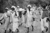 Eritrea resistance: Transport of
                            wounded