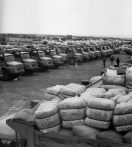 Drought in Eritrea: Lorries in rank and
                            file