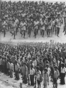 Education of the Eritrean army