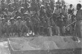 Instructions against the Ethiopian
                            operation "Red Star"