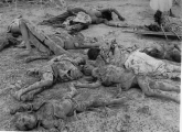 Eritrea: Different dead bodies with
                            different points of death