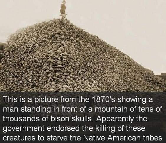 Die kriminellen "Christen" haben
Bisonschädel auf einem Haufen zusammengetragen. Stolz
steht so ein Christenschwein 1870 oben auf dem
Schädelberg. Sie haben den Bison ausgerottet, um den
Plain-Ureinwohnern die Nahrung zu rauben. Das ist nur
ein Teil des "christlichen" VÖLKERMORDS Die kriminellen "Christen" haben
Bisonschädel auf einem Haufen zusammengetragen. Stolz
steht so ein Christenschwein 1870 oben auf dem
Schädelberg. Sie haben den Bison ausgerottet, um den
Plain-Ureinwohnern die Nahrung zu rauben. Das ist nur
ein Teil des "christlichen" VÖLKERMORDS