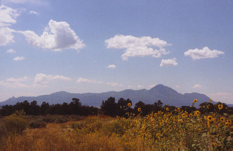 Berg
                      Sleeping Ute Mountain, Sicht von fern