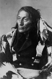 H�uptling
                  Kr�henfuss ("Crowfoot"), Portrait von 1887