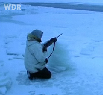 Eskimos, Robbenjagd am fr�hen
                          Morgen in Alaska
