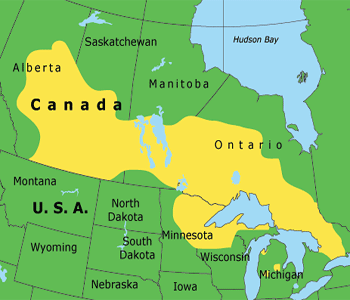 Karte der Prim�rnation der Ojibwa /
                          Ojibwe