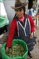 B�uerin verkauft
                      Kokabl�tter in Cusco