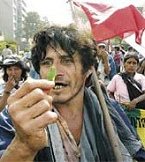 Kokabauer (2006) demonstriert gegen die
                      Kriminalisierung durch die dumme "USA".