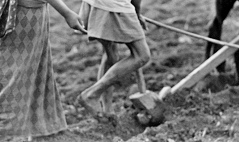 Urspr�ngliche Landwirtschaft in einem
                      Gurung-Dorf in Nepal