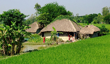 Village of West Bengal Village of
West Bengal