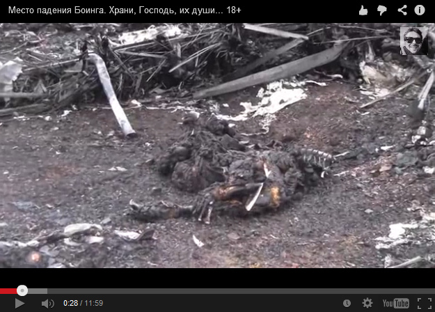 Burnt doll, cadaver of an animal (bird?)
                        and prothesis at the fire place