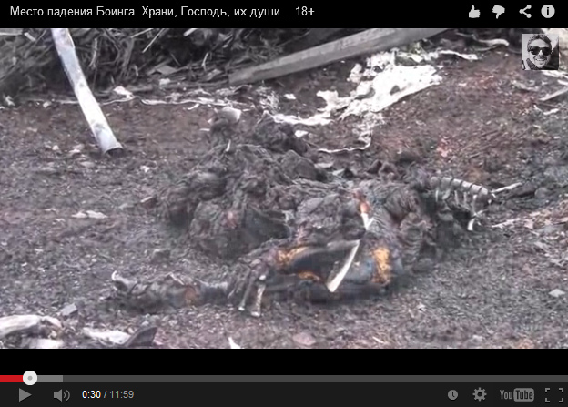 Burnt dull, cadaver of an animal (bird?)
                        and protesis at the fire place, zoom