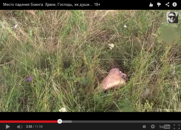 There is a
                        shoe in the grass - but there are no ore shoes
                        in the grass