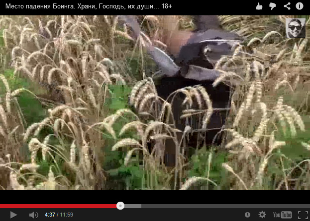 A dummy with half trousers in a wheatfield
                        - no blood