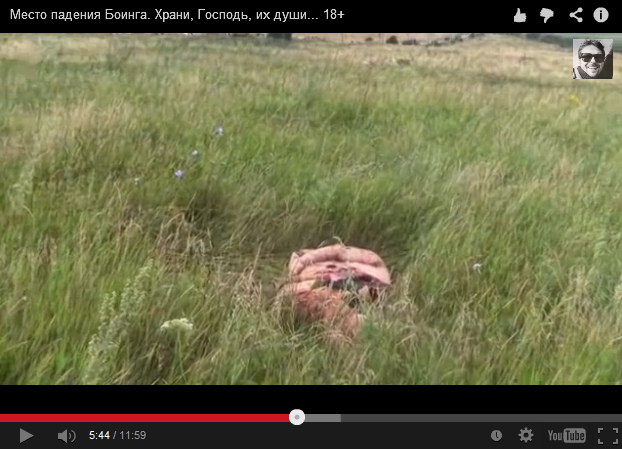 An indefinable flat cake in the grass in
                        the meadow - no blood 01