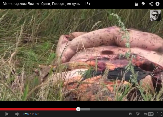 An indefinable flat cake in the grass in
                        the meadow - no blood 03