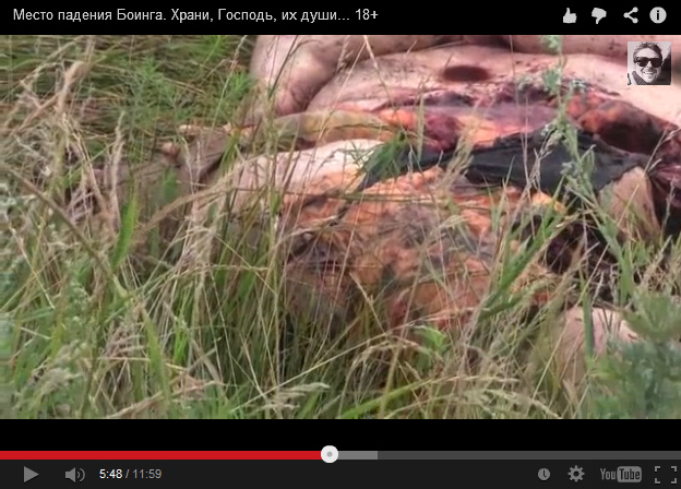 An indefinable flat cake in the grass in
                        the meadow - no blood 04