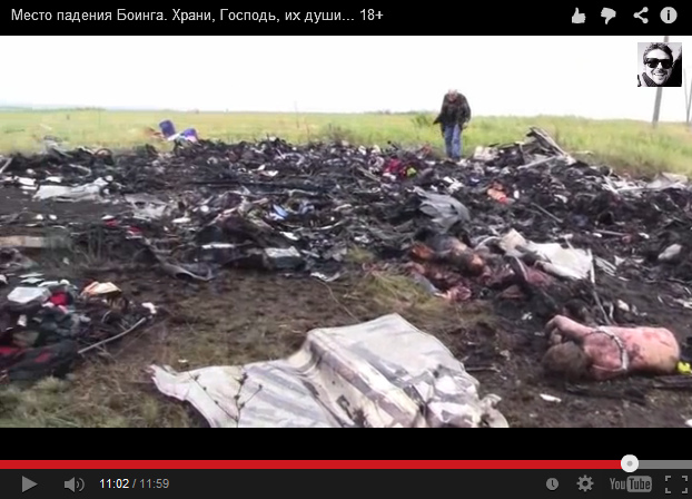This "fire place" is only a fire
                        place, any big part of the airplane is missing,
                        no fuselage 02