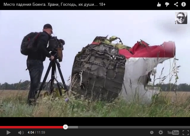 Big part of an airplane of Malaysian
                        Airlines at the roadside, zoom 1