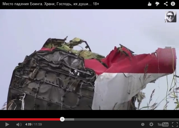Big part of an airplane of Malaysian
                        Airlines at the roadside, zoom 2