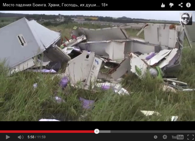 Parts of the interior of the airplane in
                        the grass, very clean