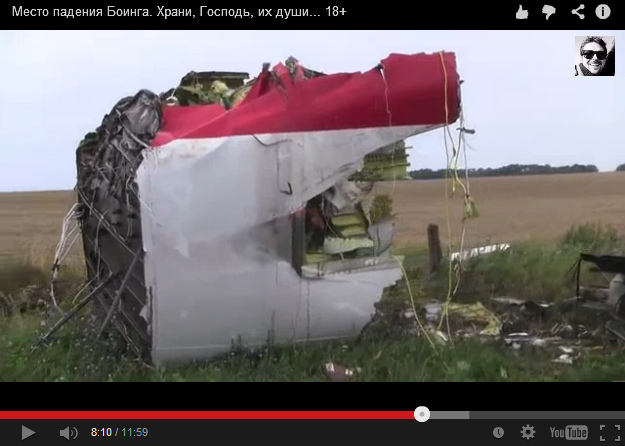 Big part of an airplane of Malaysian
                        Airlines without dust nor earth nor sinkhole at
                        he roadside