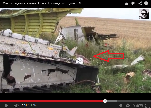 Big part of an airplane of Malaysian
                        Airlines without dust nor earth nor sinkhole at
                        he roadside, view to the interior and a part of
                        a wing, and there is a dummy in the background
                        (arrow)